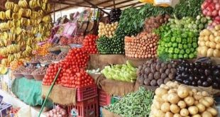 أسعار الخضروات متباينة و متوافرة لتلبية احتياجات السوق