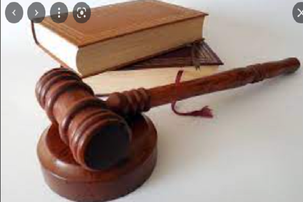 قانون الهيئات الشبابية.. عقوبة الحبس تواجه مخالفة أحكامه