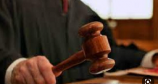 حكما قضائيا يتصدى لجملة "حتى زوال العقار" فى عقود الإيجار
