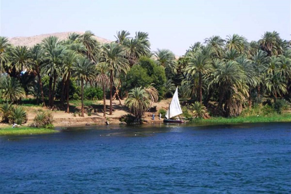 في مأساة هزت القلوب.. النيل يبتلع تضحية أب أنقذ أطفاله من الموت ويسجل فاجعة جديدة في أسوان