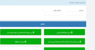 كيفية استخراج تصريح العمل لـ12 دولة عن طريق الانترنت