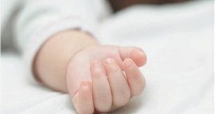 زوج يقتل زوجته في جلسة عرفية بالغربية