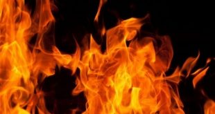 شاب ينهي حياة أسرته ذبحا ويضرم فيهم النيران بعد تقطيعهما بالغربية