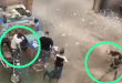 الأجهزة الأمنية تفحص فيديو تعنيف في جراج الجيزة