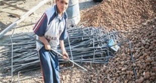 حظر تشغيل الأطفال قبل 15 عام وقيود صارمة على ساعات العمل والمهام