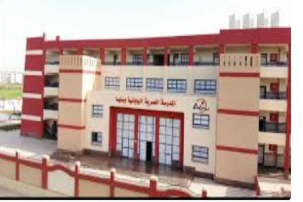 القانون يحدد شروط التدريس بالمدارس الفنية.. تعرف عليها