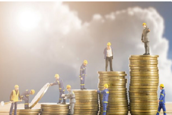 ضوابط بالقانون لإصدار قواعد تصنيف الشركات المملوكة للدولة وتحديد موقف فائض العمالة