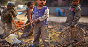 دروع قانونية لحماية الصغار.. "عمل 2025" يطلق لجان المحافظات و"إدارة النجدة" للتدخل العاجل