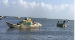 500 ألف جنيه ثمن التلوث.. عقوبات صارمة لحماية المياه والثروة السمكية