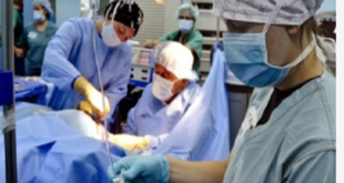 زراعة أعضاء المحكوم عليهم بالإعدام.. جدل قانوني بين حرمة الجسد وإنقاذ المرضى