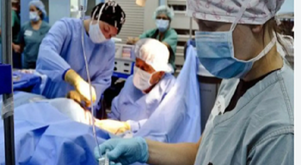 زراعة أعضاء المحكوم عليهم بالإعدام.. جدل قانوني بين حرمة الجسد وإنقاذ المرضى
